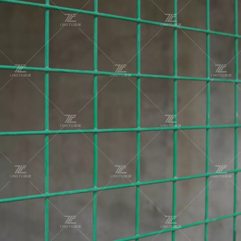 PVC/PE coated welded wire mesh
