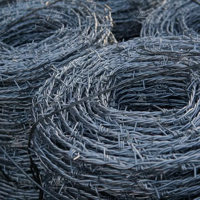 Barbed wire